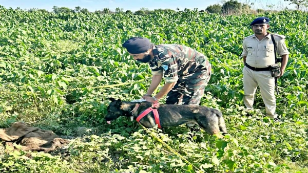 بہار میں چھ دوستوں نےمل کر ایک دوست کو دو ٹکڑے میں کاٹ ڈالا، وی ٹی آر جنگل  میں چار دن بعد لاش ملی