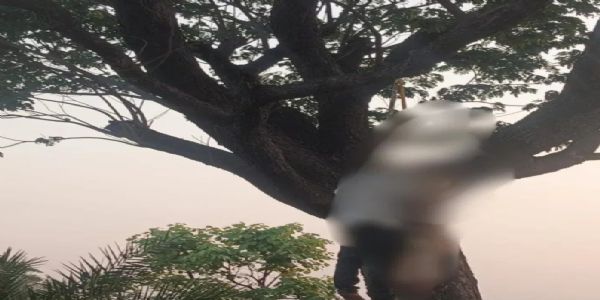 لڑکے اور لڑکی کی لاشیں درخت سے لٹکی ہوئی ملیں ، پولیس نے تفتیش شروع کی