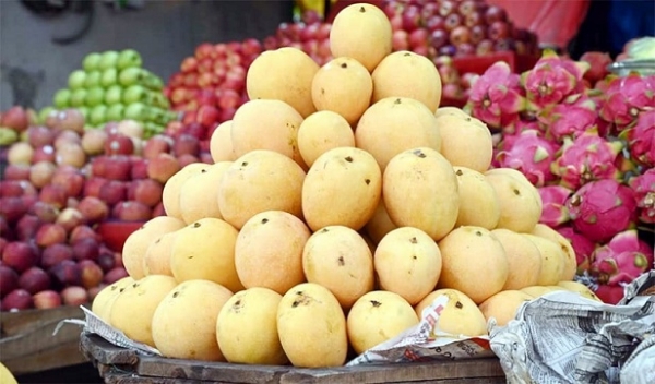 برآمدات میں کمی کے باعث حیدرآباد میں آم کی قیمتوں میں گراوٹ کا امکان برآمدات میں کمی کے باعث حیدرآباد میں آم کی قیمتوں میں گراوٹ کا امکان