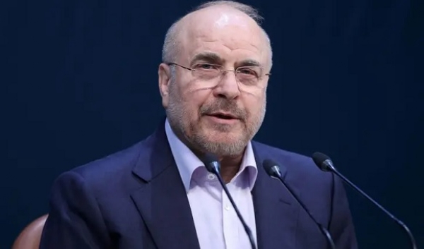 امریکہ اور ایران کے درمیان مذاکرات میں پیش رفت ہوئی ہے: ایرانی اسپیکر