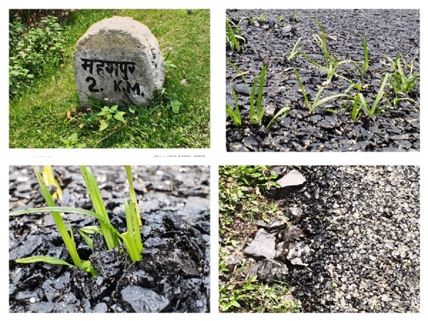 ایک ہفتہ میں اکھڑ گئی سڑک، بیچ اگ گئی گھاس، تعمیراتی کام پر سوالیہ نشان