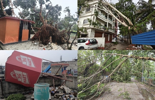 کشن گنج میں نصف شب طوفان کا قہر، اکھڑے درخت، بجلی سپلائی متاثر