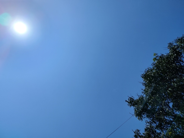 اتراکھنڈ کے میدانی علاقوں میں شدید گرمی کا الرٹ ، اسکولوں کو بند کرنے کی ہدایت