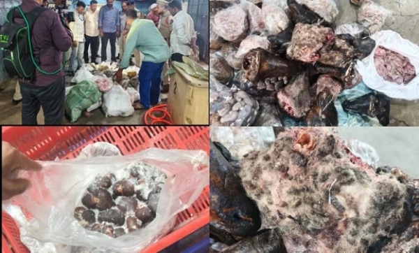 خراب اور ناکارہ گوشت فروخت کرنے والے گروہ کا پردہ فاش – 12 ٹن مٹن ضبط