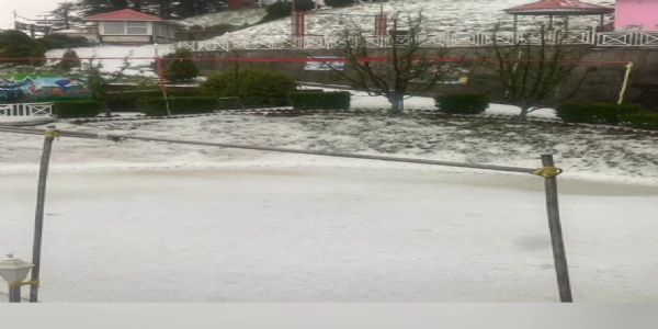 موسلادھار بارش اورژالہ باری سے شملہ کی ٹریفک سست ، سردی کا احساس