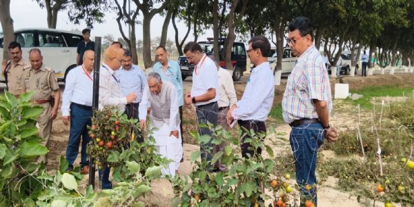 ایف پی او کو مضبوط بنا کر اجتماعی مارکیٹنگ، پروسیسنگ اور ایکسپورٹ پر خصوصی زور دیا جائے: رام ناتھ ٹھاکر
