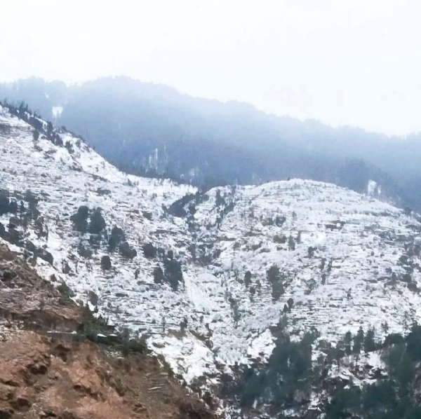 ہماچل میں ژالہ باری سے فصلوں کو نقصان، اگلے دو دن کے لیے اورنج الرٹ جاری