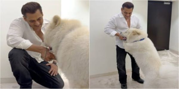 سلمان خان کی لیٹ نائٹ پوسٹ وائرل