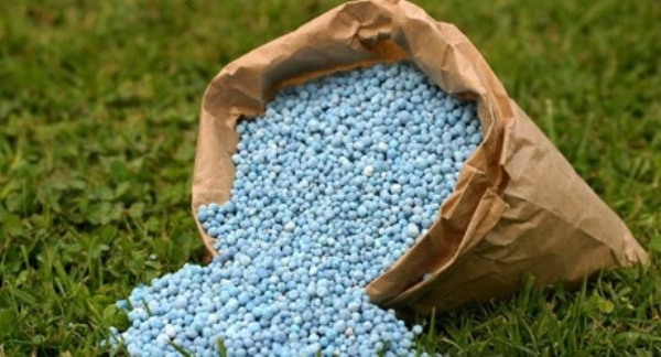 (کابینہ) خریف کی فصلوں کے لیے ’پی اینڈ کے‘ کھادوں پر غذائیت پر مبنی سبسڈی کو منظوری