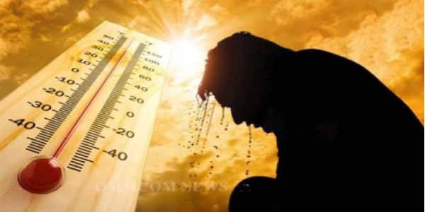 تلنگانہ میں لولگنے کے واقعات میں اضافہ،جملہ 22 افراد متاثر