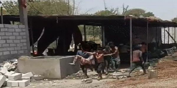 ایم پی کے دیواس میں پٹاخہ فیکٹری میں دھماکے کے بعد بھیانک آگ لگی، تین کی موت، 25 مزدور زخمی