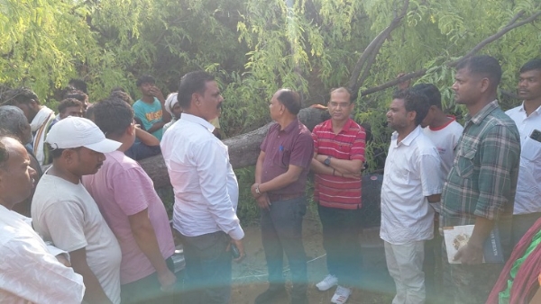 JH-Tree-falls-on-house-woman-dies