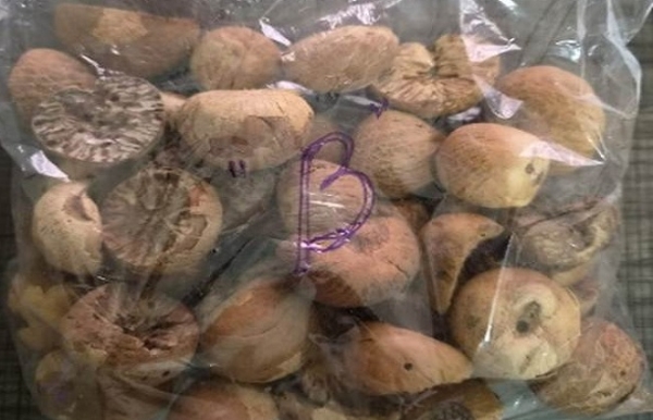 سپاری سپاری