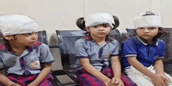 فرید آباد میں اسکول کی زیر تعمیر عمارت کی دیوار گرنے سے چار بچے شدید زخمی