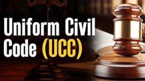 بل بل