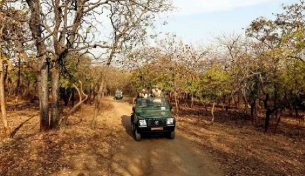 Environment Amravati Melghat Safari Environment Amravati Melghat Safari