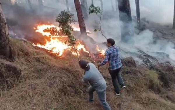 Foreat fire Foreat fire