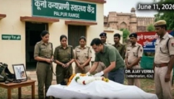کونو کے جرمن شیفرڈ کو آخری وداع دیتے ہوئے کونو کے جرمن شیفرڈ کو آخری وداع دیتے ہوئے