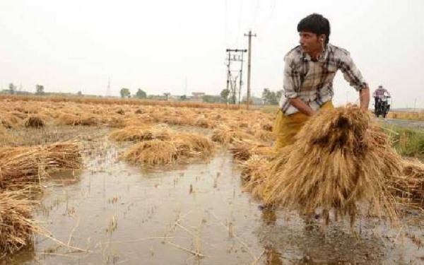 AGRICULTURE MAHA RELIEF FUND
