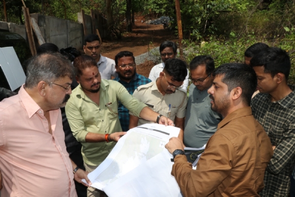 Yeoor Forest Wall Row
