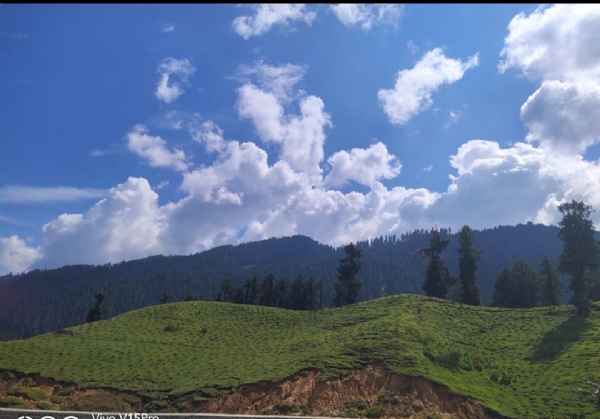 Weather