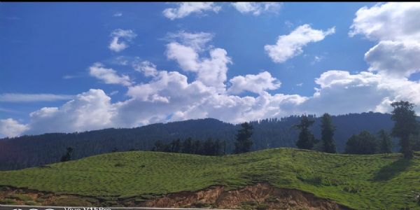 جموں میں یکم جولائی سے بارش کی پیش گوئی