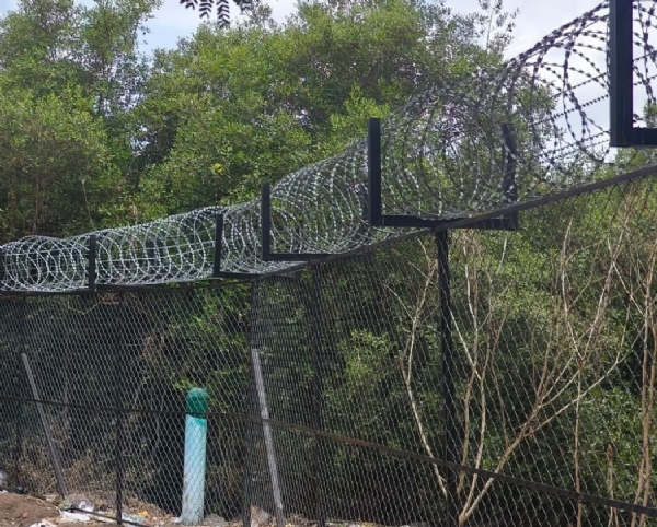 ENVIRONMENT MAHA THANE MANGROVE