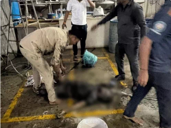 گجرات کے سورت میں ای ٹی پی پلانٹ میں ٹینک میں گرنے سے صفائی کرنے والے 4 مزدوروں کی موت