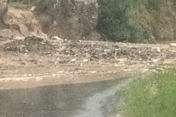 Flood Flood