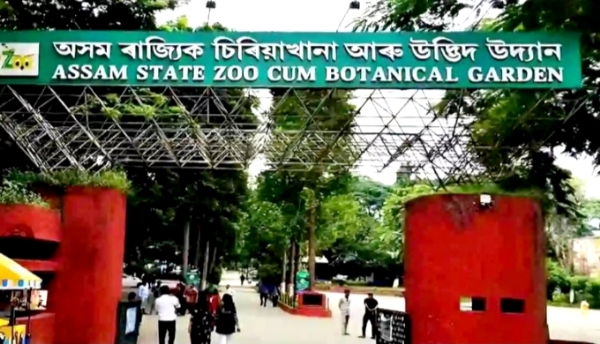 آسام ریاستی چڑیا گھر کی 360 کروڑ کی لاگت سے جدید کاری جاری، 27 فیصد کام مکمل: وزیر اعلیٰ