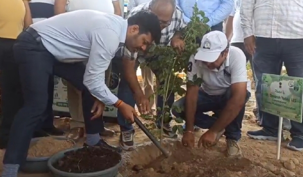 Plantation Plantation