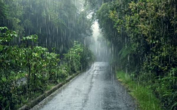 WEATHER MAHA MONSOON ACTIVE AGAIN WEATHER MAHA MONSOON ACTIVE AGAIN