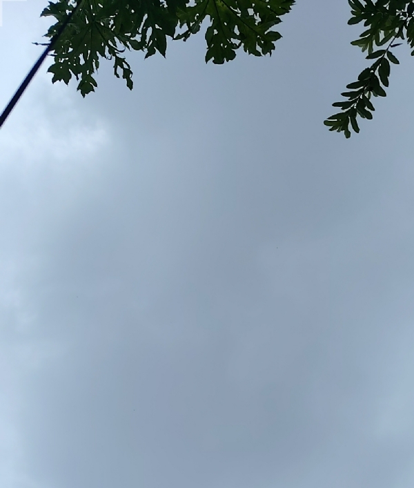 اتراکھنڈ میں شدید بارش کے لیے ریڈ الرٹ، اگلے چار دنوں کے لیے خصوصی احتیاطکی ضرورت اتراکھنڈ میں شدید بارش کے لیے ریڈ الرٹ، اگلے چار دنوں کے لیے خصوصی احتیاطکی ضرورت