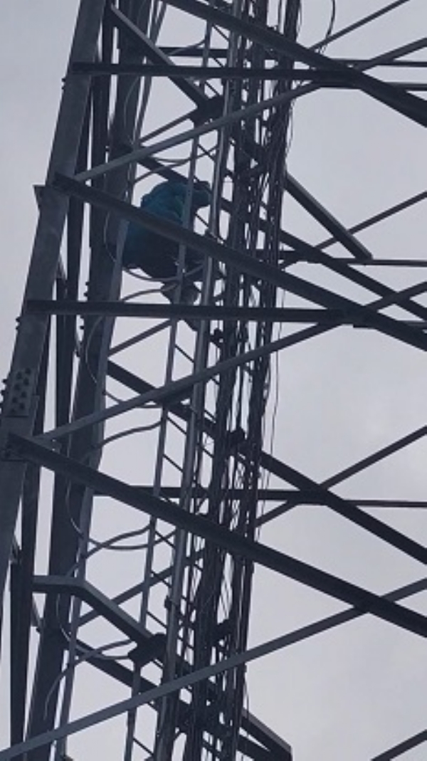 UP-GIRL-CLIMBED-THE-TOWER UP-GIRL-CLIMBED-THE-TOWER