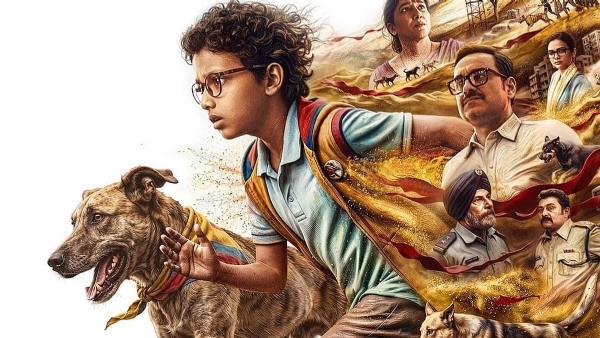 فلم فلم