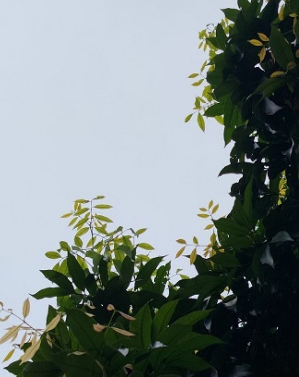 Uk-Weather-Rain-Alert- Uk-Weather-Rain-Alert-