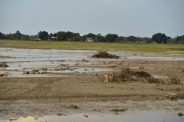 Assam-flood-relief-NDRF-SDRF