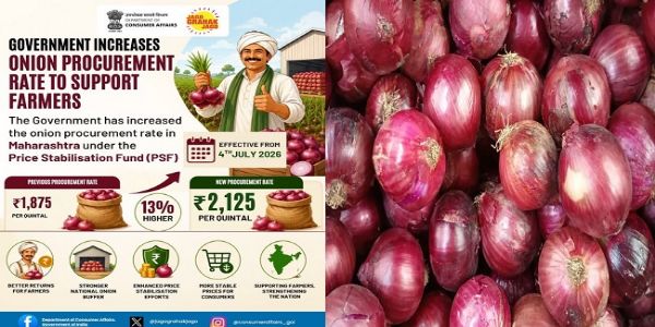 حکومت نے پیاز کی خریداری کی قیمت 13 فیصد بڑھا کر 2125 روپے فی کوئنٹل کر دی