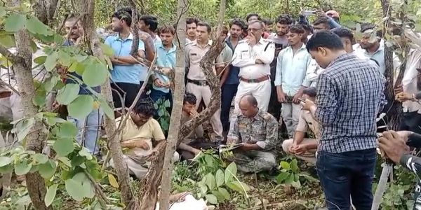بالاگھاٹ میں شیر کے حملے میں کسان کی موت سے گاوں میں دہشت کا ماحول