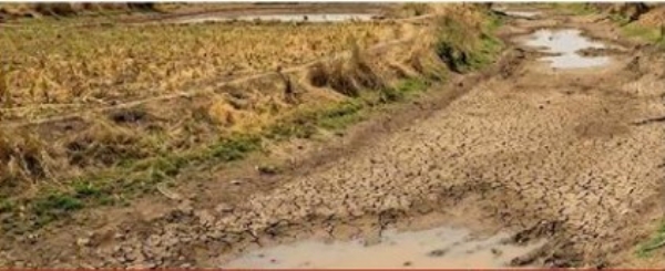 Varud Declared Drought Hit Demand Varud Declared Drought Hit Demand