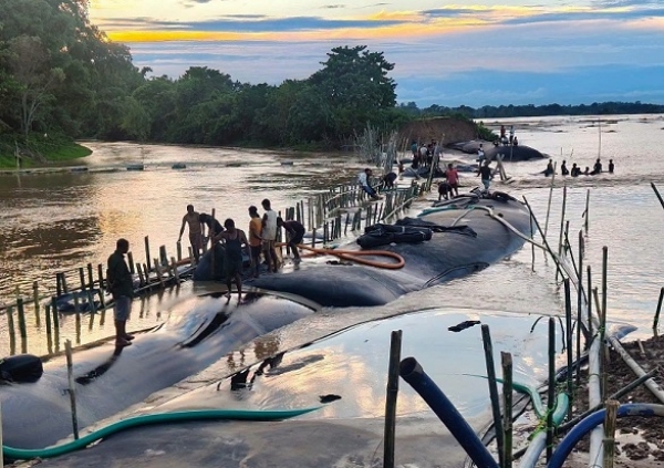 Assam-flood-relief-NDRF-SDRF