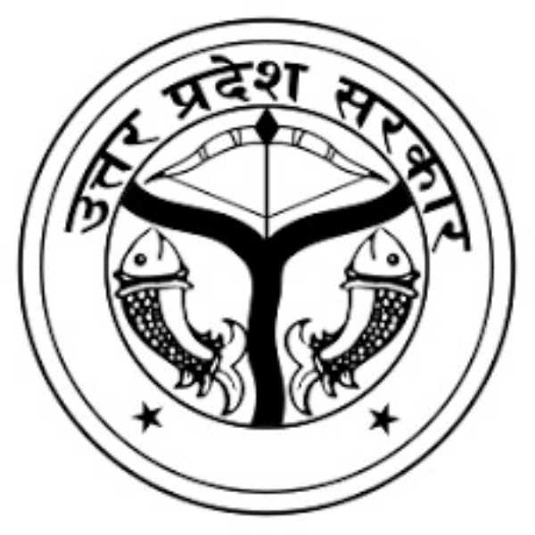 یوگی یوگی
