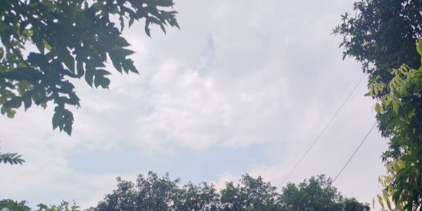 اتراکھنڈ میں شدید بارش کا انتباہ، پانچ اضلاع میں الرٹ