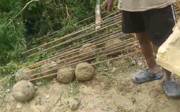 AMETHI-MYSTERIOUS-SHELLS-FOUN