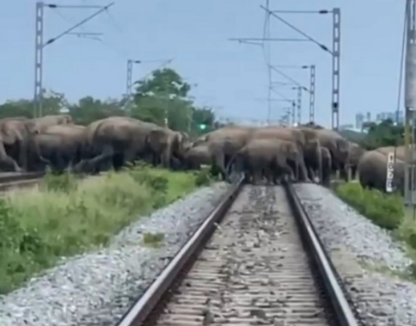 Rajdhani-Express-halted-briefl