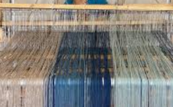 Pashmina