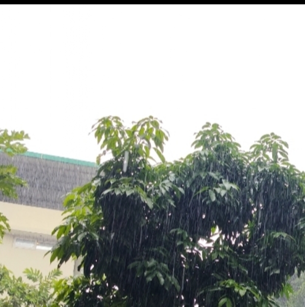 اتراکھنڈ میں بارش کا سلسلہ جاری، دریائے گنگا کے آبی سطح میں اضافہ
