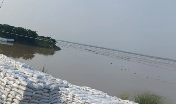 گنگاندی خطرے کے نشان سے 17 سینٹی میٹر نیچے، کوسی ندی کے پانی سطح میں اضافہ سے پشتوں پربڑھا دباؤ گنگاندی خطرے کے نشان سے 17 سینٹی میٹر نیچے، کوسی ندی کے پانی سطح میں اضافہ سے پشتوں پربڑھا دباؤ