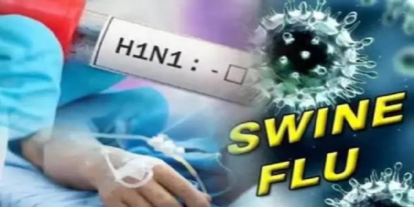 چھتیس گڑھ میں اب تک سوائن فلو کے کل 105 معاملے سامنے آئے، محکمہ صحت الرٹ پر