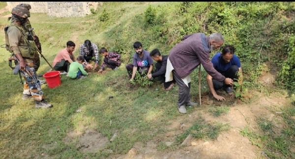 Plantation Plantation